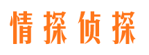 隆昌侦探公司